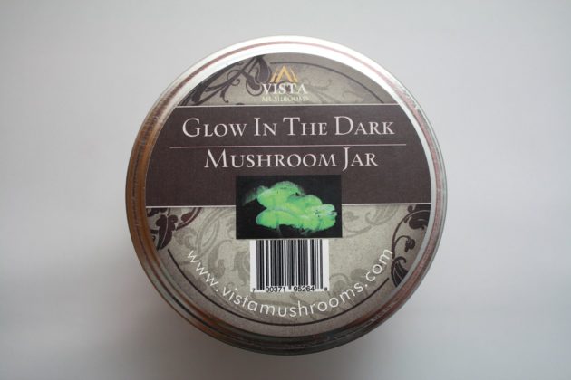 glow_in_the_dark_mushroom_jar_top-a